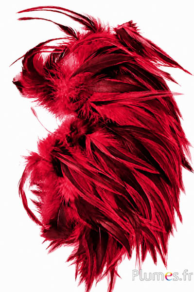 Hahnenkreuz Badger - 10-15 cm - karminrot